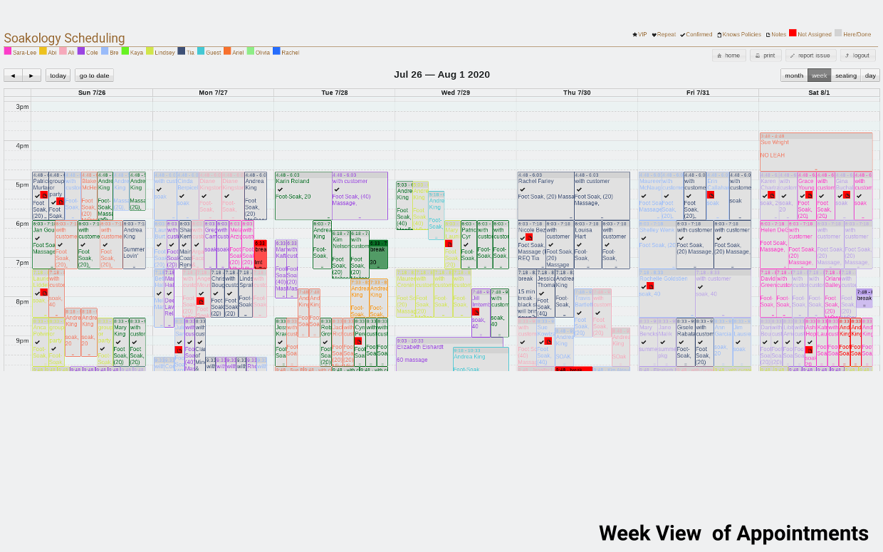 custom javascript app